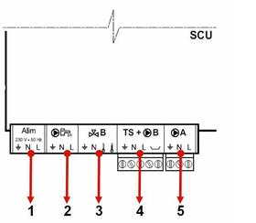 connecteur_carte_scu2.jpg